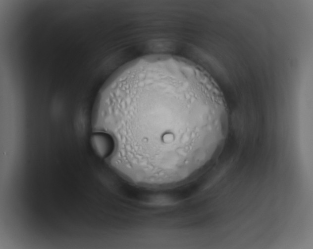 X0000100770741200807031210