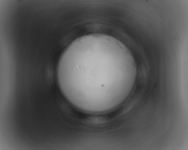 X0000100770749200807031210