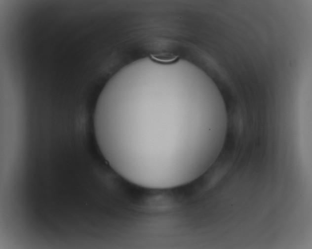 X0000100770750200807031210