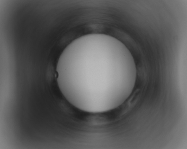 X0000100770752200807031210