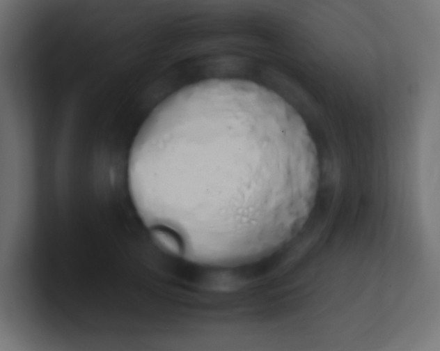 X0000100770753200807031210