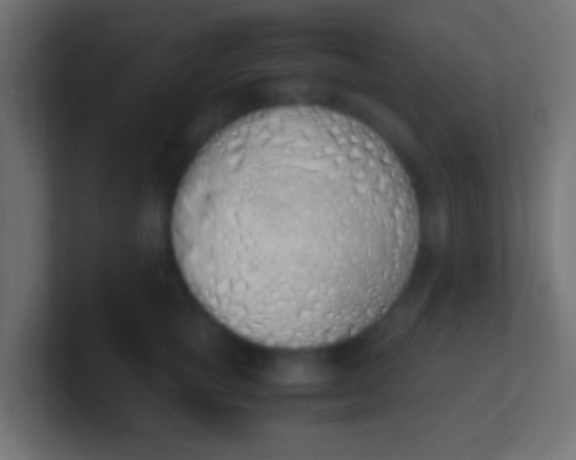 X0000100770757200807031210