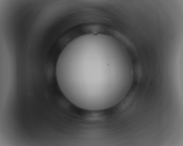 X0000100770760200807031210