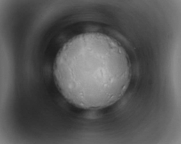 X0000100770761200807031210