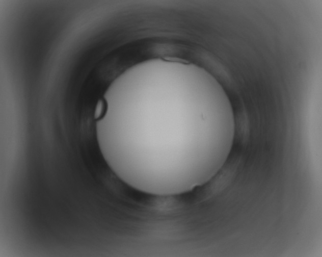 X0000100770762200807031210