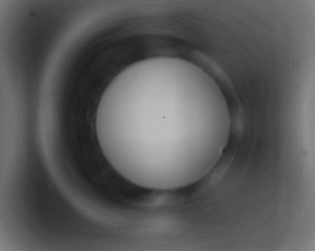 X0000100770764200807031210