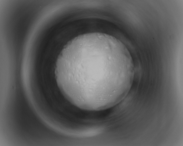 X0000100770765200807031210