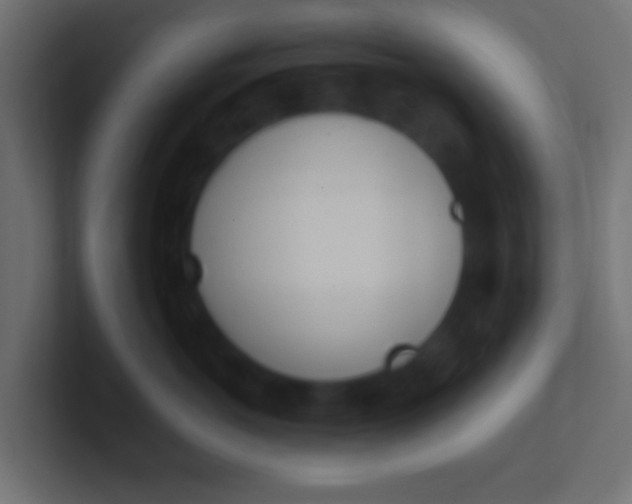 X0000100770766200807031210