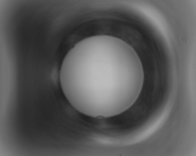 X0000100770767200807031210