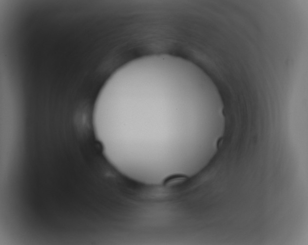 X0000100770768200807031210