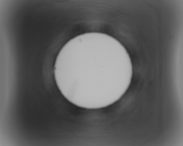X0000100770769200807031209