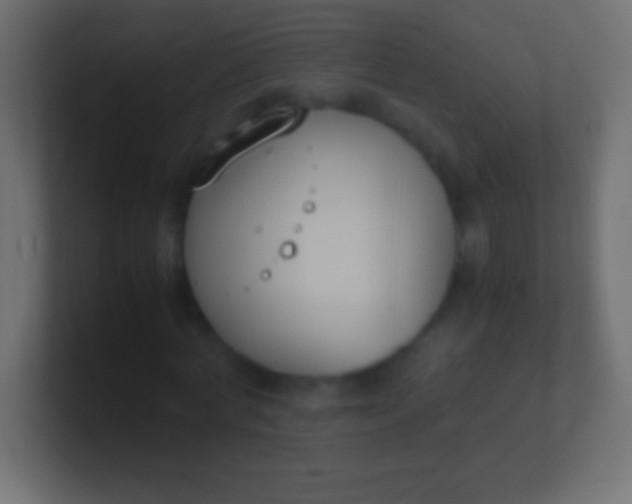 X0000100770772200807031209