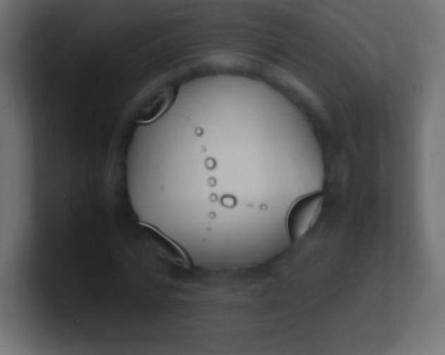 X0000100770776200807031209
