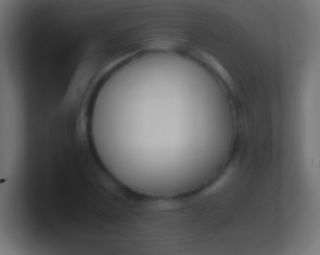 X0000100770779200807031209