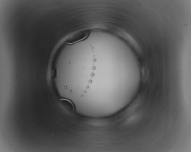 X0000100770780200807031209