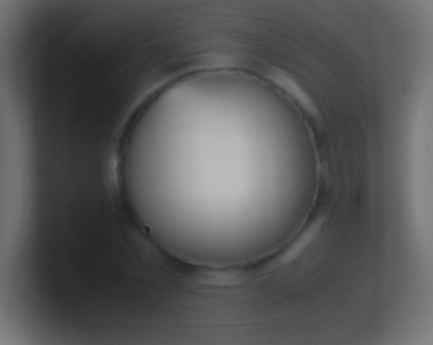 X0000100770781200807031209