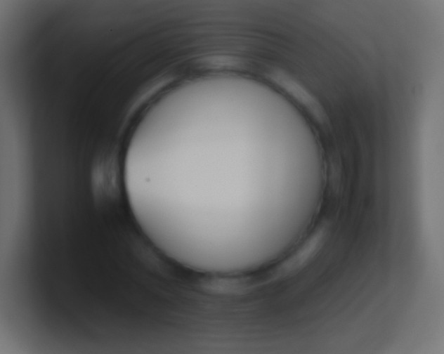 X0000100770782200807031209