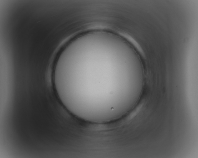 X0000100770783200807031209