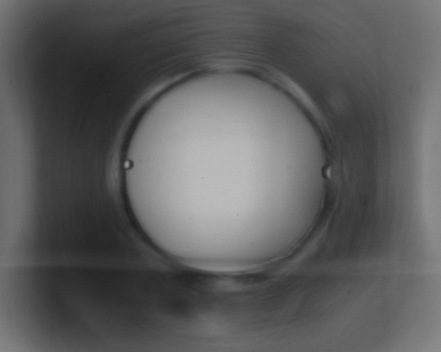 X0000100770787200807031209