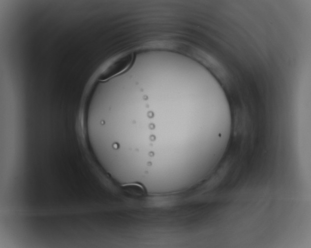 X0000100770796200807031209