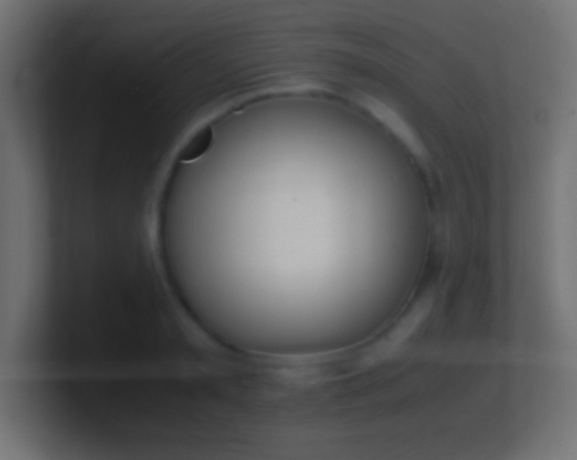 X0000100770797200807031209