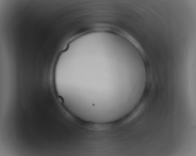 X0000100770803200807031209