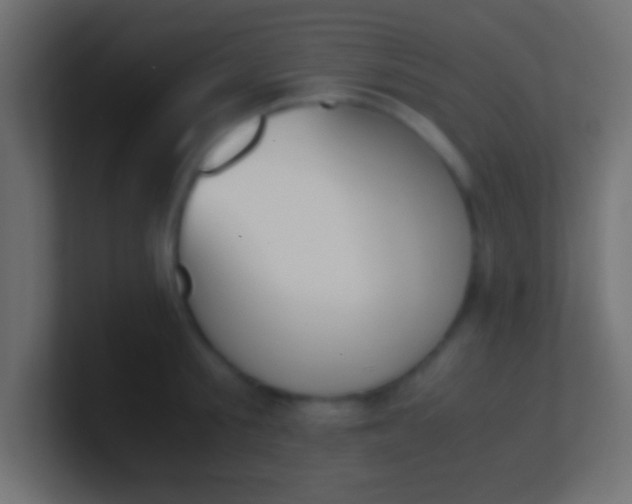 X0000100770805200807031209