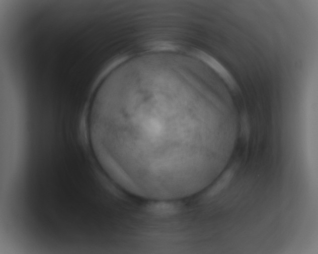 X0000100770806200807031209