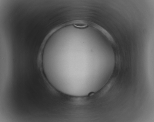 X0000100770808200807031209