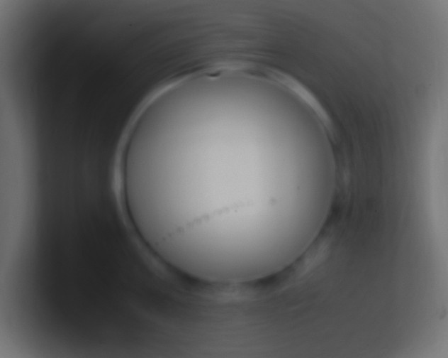 X0000100770811200807031209