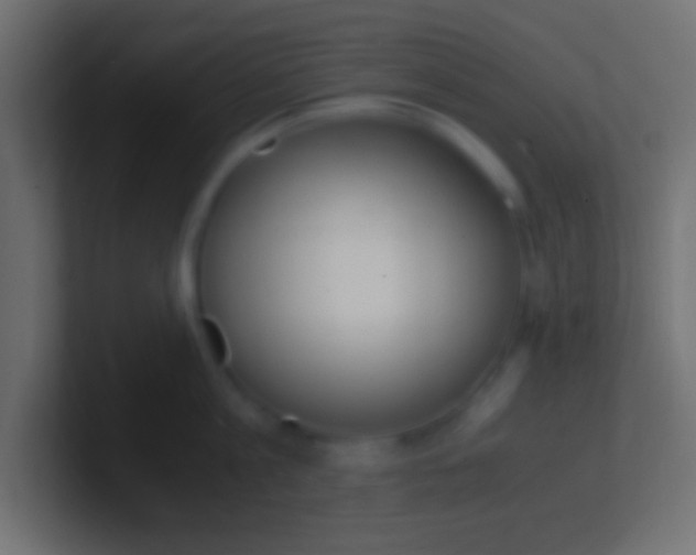 X0000100770813200807031209