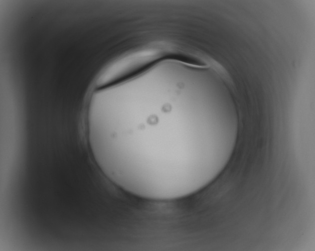 X0000100770816200807031209