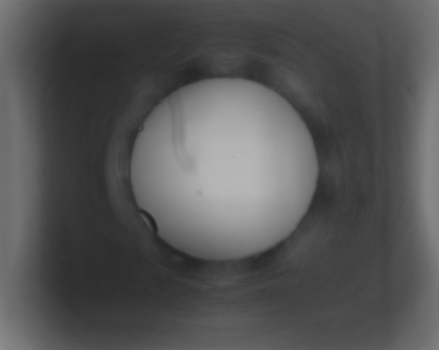X0000100770817200807031208