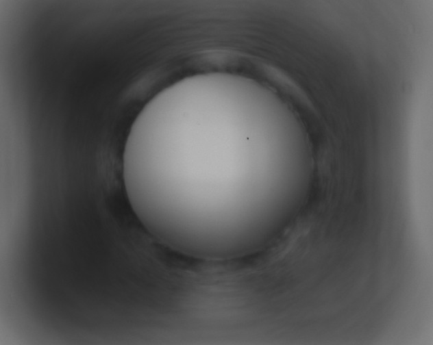 X0000100770822200807031208