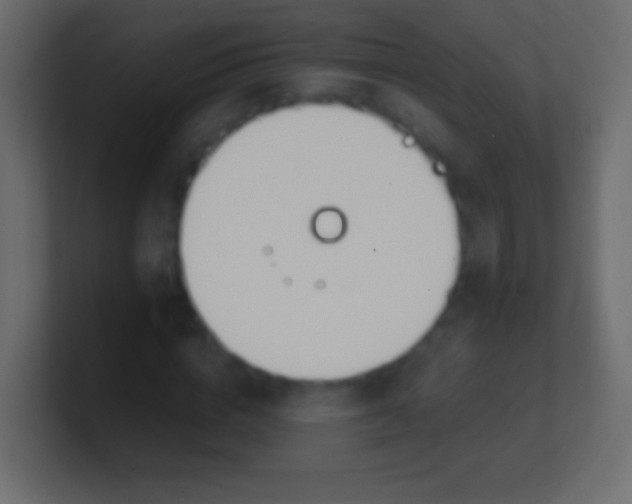 X0000100770824200807031208