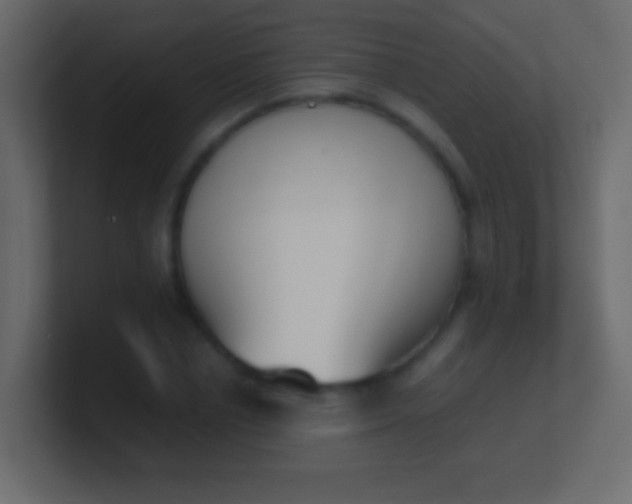 X0000100770834200807031208