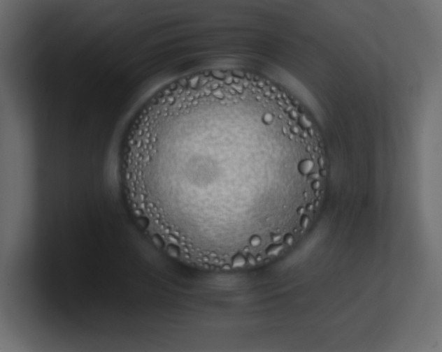 X0000100770835200807031208