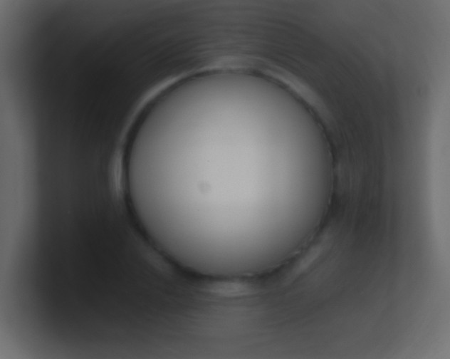 X0000100770838200807031208