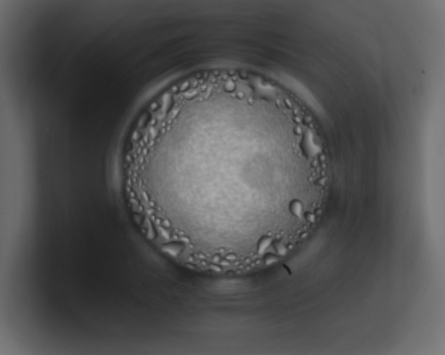 X0000100770839200807031208