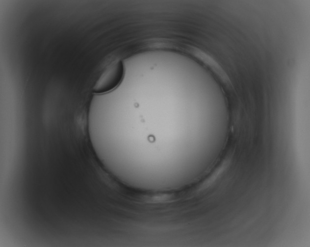 X0000100770841200807031208