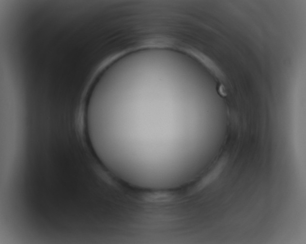 X0000100770846200807031209
