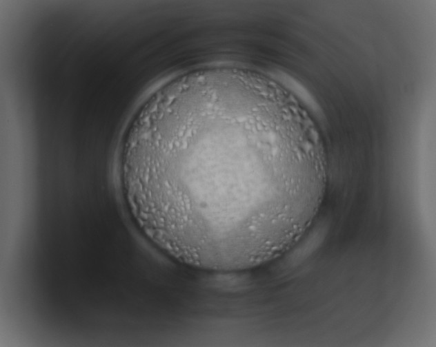 X0000100770847200807031209