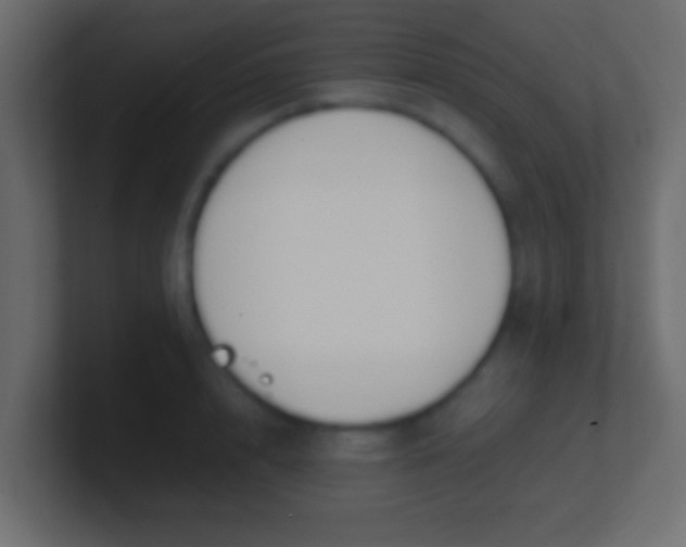 X0000100770848200807031209