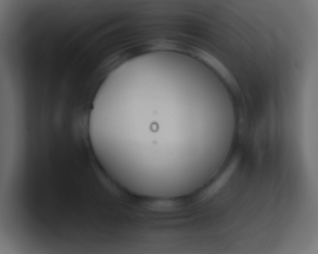 X0000100770849200807031209