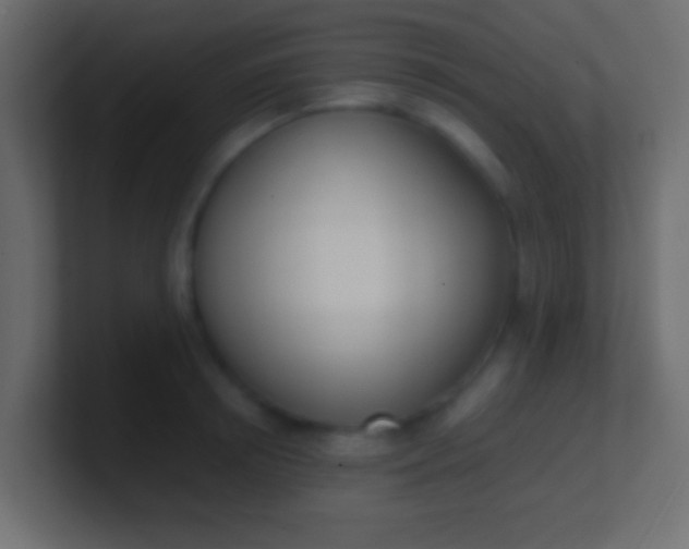 X0000100770850200807031209