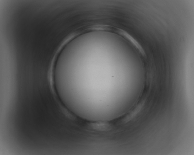 X0000100770853200807031209