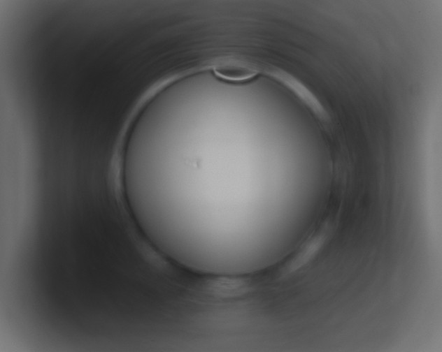 X0000100770854200807031209
