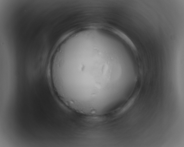 X0000100770855200807031209