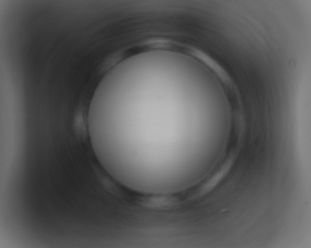 X0000100770857200807031209