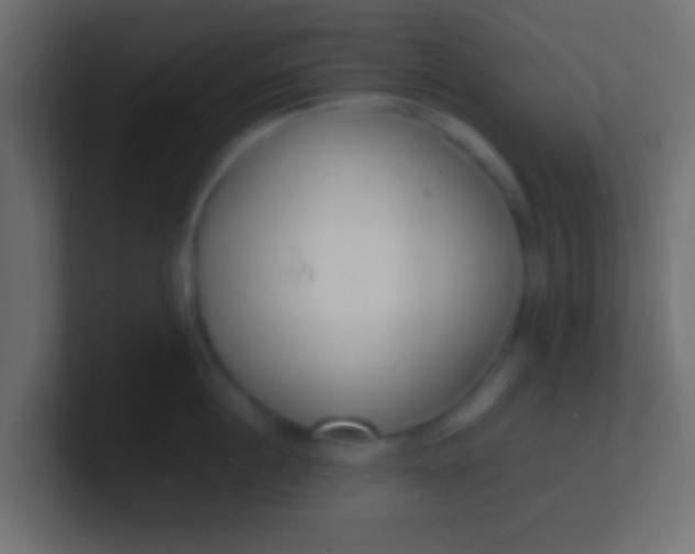 X0000100770860200807031209